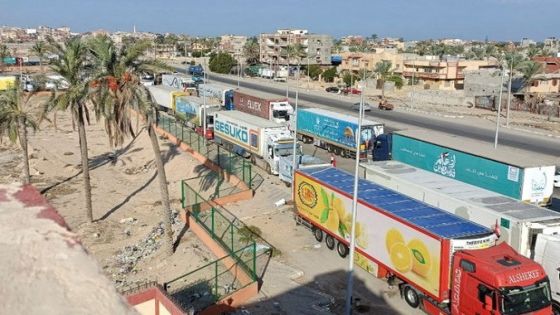 A view of trucks carrying humanitarian aid for Palestinians, as they wait for the re-opening of the Rafah border crossing to enter Gaza, amid the ongoing conflict between Israel and the Palestinian Islamist group Hamas, in the city of Al-Arish, Sinai peninsula, Egypt, October 16, 2023. REUTERS/Stringer