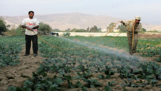 الحكومة تؤكد سلامة مياهنا ومزروعاتنا وتلبيتها للمتطلبات والمعايير العالمية