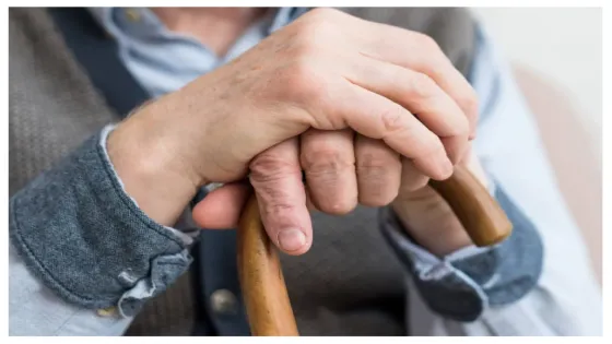 الضمان يوقف مؤقتًا رواتب متقاعدين تجاوزوا 95 عامًا