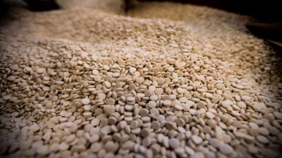 مكافحة المخدرات تحبط محاولة تهريب مليون و200 ألف حبّة مخدرة لدولة مجاورة