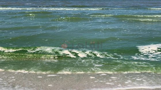 تحول مياه البحر الأبيض للون الأخضر يثير الرعب تزامنا مع “دانيال” وزلزال المغرب