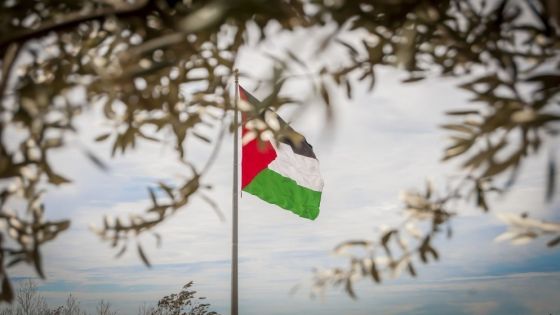 4 دول أوروبية تدعو لمنح فلسطين عضوية كاملة في الأمم المتحدة