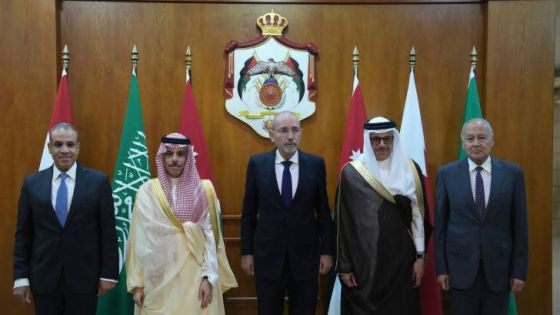 الصفدي: إسرائيل خسارتها استراتيجية في حربها على غزة