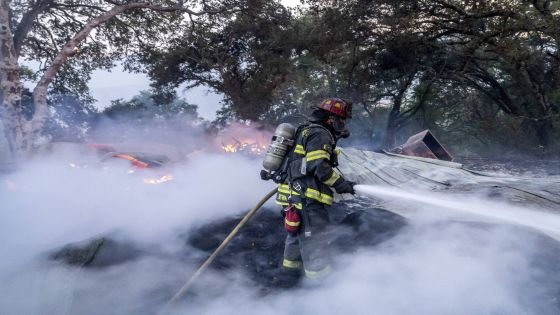 A firefighter sprays water on a burning outbuilding as the Point Fire spreads along West Dry Creek Road in Healdsburg, Calif., on Sunday, June 16, 2024. (AP Photo/Noah Berger)