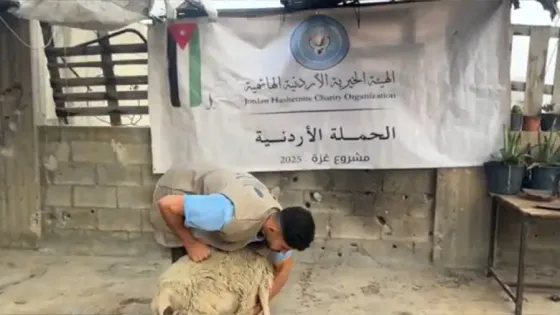 الخيرية الهاشمية تؤكد استمرار نشاطاتها الإغاثية في غزة