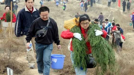 شاهدوا : الصين تحارب تغير المناخ بزراعة 70 تريليون شجرة