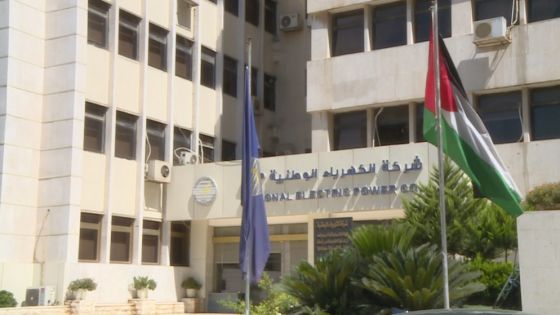 بكفالة حكومية.. طرح سندات لـ الكهرباء الوطنية بـقيمة 50 مليون دينار