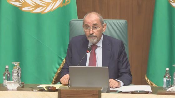 وزير الخارجية: نواجه نظاما إسرائيليا لا حد لوحشية حروبه التدميرية في المنطقة