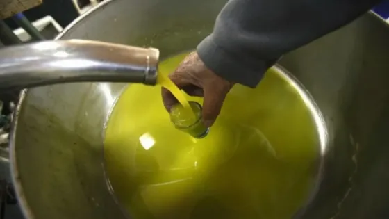 الزراعة تبدأ استقبال الدفعة الثانية من طلبات استيراد زيت الزيتون