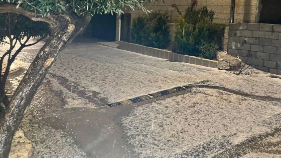 أمطار رعدية في الطفيلة وتساقط للبرد في محافظة عجلون