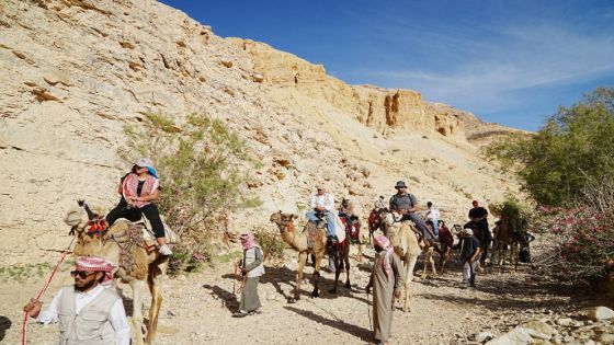 إقليم البترا : 81 ألف زائر في تشرين الأول بزيادة نسبتها 71% مقارنة بالعام الماضي