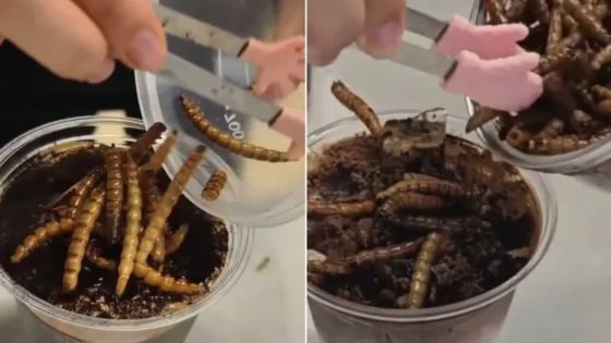 ناشطون يسخرون من الصين بسبب قهوة الصراصير