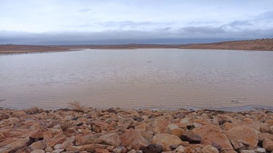 وادي الأردن : لم تسجل مشكلات فنية أو خطورة في سد الوحيدي