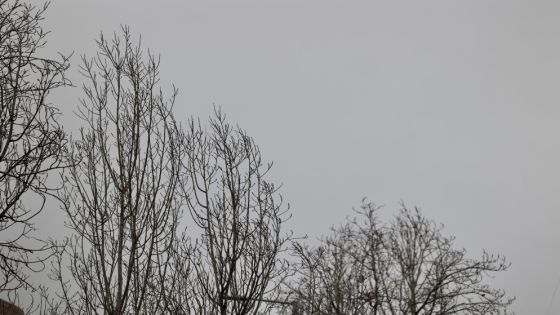 الأشغال: لا حوادث أو أضرار غير اعتيادية في ثلوج الجنوب