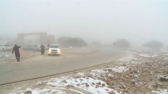 تجدد الهطولات الثلجية فوق مرتفعات الطفيلة والشوبك ومعان
