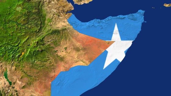 مصر والصومال وتركيا وجيبوتي تدين اعتراف الاحتلال الإسرائيلي بإقليم أرض الصومال