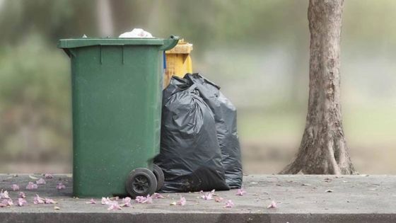 أكثر من 23 ألف مخالفة إلقاء عشوائي للنفايات خلال قرابة 6 أشهر