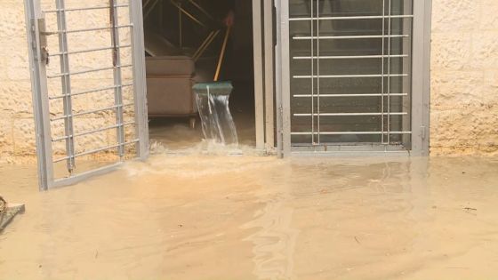 الشواربة: عمّان لم ولن تغرق