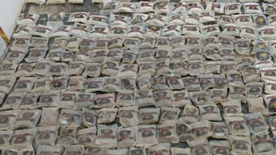 المنطقة العسكرية الشرقية تحبط محاولة تهريب مخدرات بواسطة بالونات