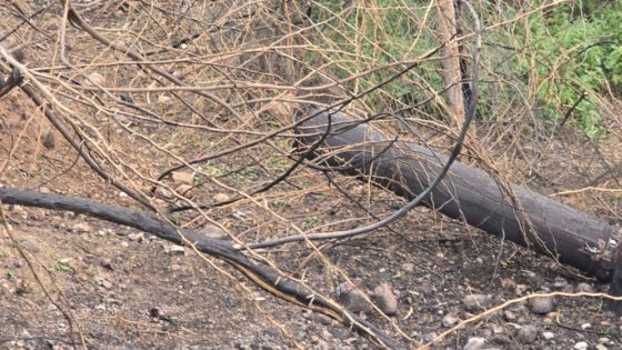 سقوط شظايا يتسبب بانقطاع الكهرباء عن عدة مناطق في الأغوار الشمالية
