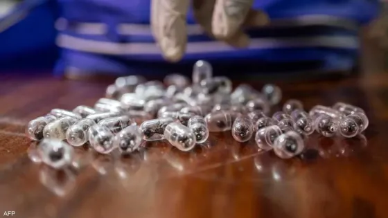 سجن رجل صيني حاول تهريب 2200 نملة من كينيا