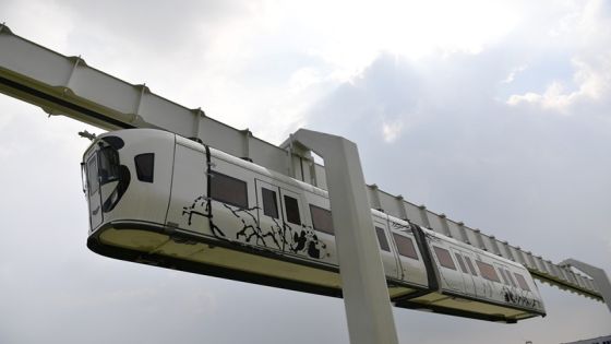 شاهدوا : قطار معلق بأرضية زجاجية يوفر تجربة جديدة في الصين