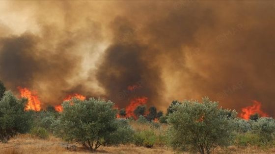 أوروبا تغلي والمغرب يكافح لإخماد حرائق الغابات والجزائر تعلن حالة التأهب القصوى