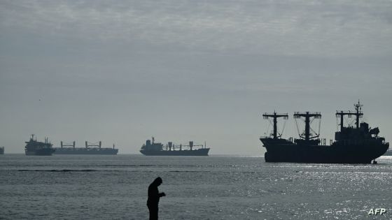 A photograph taken on October 31, 2022 shows cargo ships loaded with grain in the anchorage area of the southern entrance to the Bosphorus in Istanbul. - Cargo ships loaded with grain and other agricultural products left Ukrainian ports on october 31, 2022 despite Russia's decision to pull out from a landmark deal designed to ease a global food crisis. As one of the brokers of the grain deal, Turkey has stepped up diplomacy with the two warring countries in a bid to save it as Russia warned that continuing to enforce the agreement without its participation would be "dangerous". (Photo by Ozan KOSE / AFP)