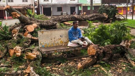 A man sits on a bench amid trees that were uprooted and that fell on a public garden in the centre of Antsirabe following the passage of cyclone Batsirai on February 6, 2022. - Cyclone Batsirai killed at least six people and displaced nearly 48,000 when it struck Madagascar overnight, the national disaster management agency said on Sunday. (Photo by RIJASOLO / AFP)