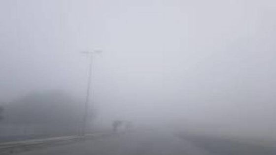 الأرصاد: مدى الرؤية في رأس منيف أقل من 100 متر بسبب الضباب