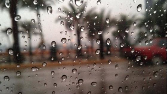 زخات أمطار متفرقة وعشوائية الأحد