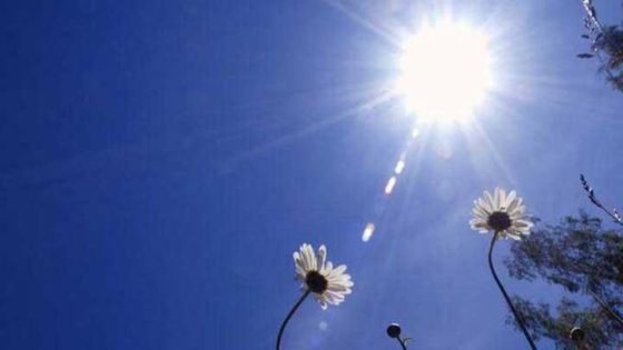 الاثنين: الحرارة أعلى من معدلاتها بنحو 5-6 درجات