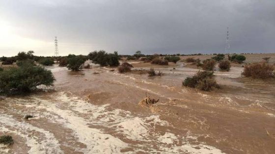 سُحب رعدية تؤثر على جنوب الأردن وتحذيرات من السيول