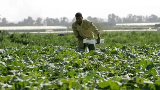 تعويض 320 مزارعا متضررا من الأحوال الجوية الأخيرة بـ 200 ألف دينار