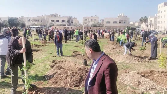 مشاريع التشجير تمضي وسط مأزق التحديات.. فهل تصل إلى أهدافها؟