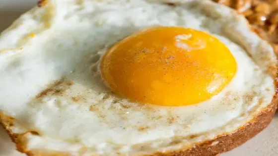 332 مليون بيضة منتجة العام الماضي بانخفاض 4.8%