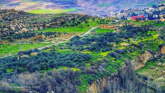 ديوان المحاسبة : الدولة تدفع ثمن أراضٍ ولا تستملكها في بصيرا