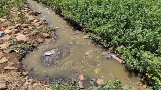 ضبط مخلفات حيوانية ملوثة في مصنع شمال المملكة