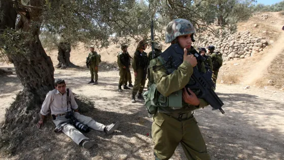 الأمم المتحدة: اعتداءات المستوطنين بموسم الزيتون تهدف لفصل الفلسطينيين عن أرضهم