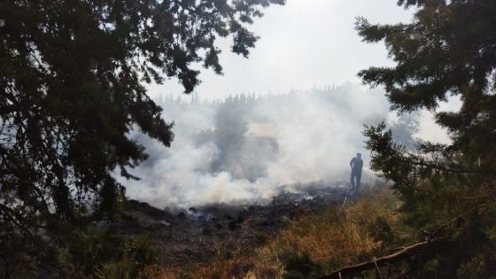 حريق كبير في منطقة الحمر غرب عمان