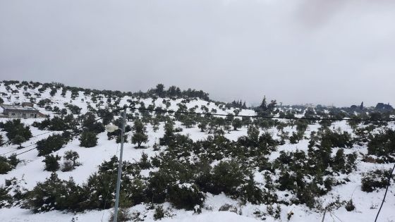 بالصور – تراكم للثلوج ببلدة عنجرة في محافظة عجلون