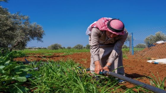أكثر من 3 ملايين دينار قروض زراعية في البادية الشمالية