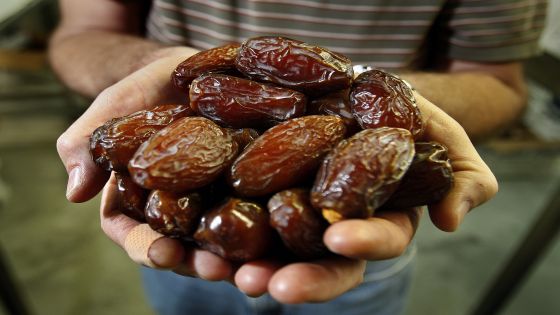 Dennis Jensen, owner of Seaview Packing in Coachella, holds Medjool Dates he is packing for another business man from last year's crop. Each year the date harvest in the Coachella Valley begins around the first week in September. But each year the month of Ramadan, when Muslims don't eat during the day and break their fast on a date at sundown, moves up almost two weeks according to the lunar calendar. Ramadan begins midAugust, two weeks before the new crops of dates will be ready, meaning that the dates eaten this year are from last year's crop and there are rumors of a shortage. Dennis Jensen's family have been in the date business ince the mid80's. AH (Photo by Allen J. Schaben/Los Angeles Times via Getty Images)