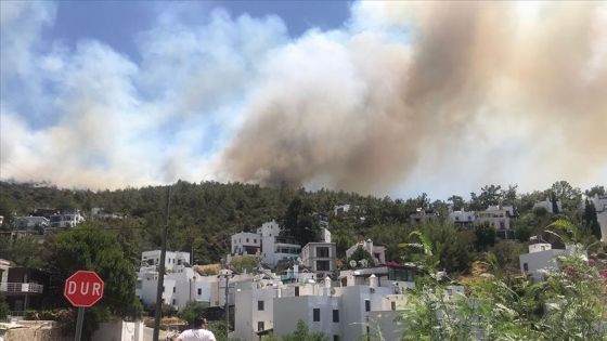 تركيا.. اندلاع حريق في “بودروم” بولاية موغلا