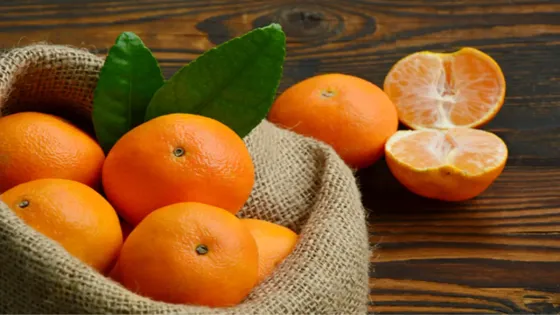 انخفاض أسعار الكلمنتينا في الأسواق.. تعرف على الأسباب