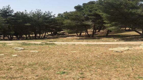 دراسة لإنشاء ثلاثة مسارات بمتنزه عمان القومي