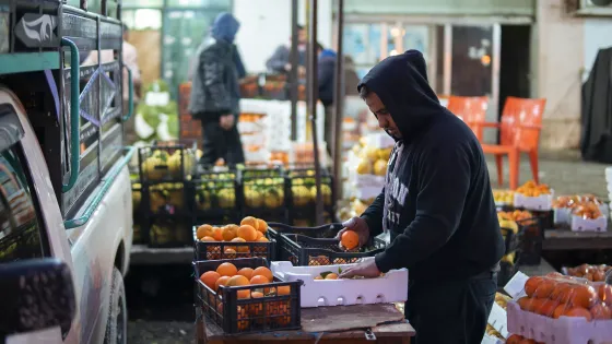 عمرو : ارتفاع الأسعار في الأسواق لا ينعكس على دخل المزارعين