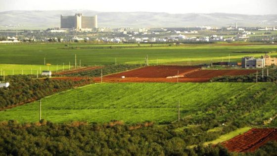 اتحاد المزارعين يحذر من تأثيرات التغير المناخي على الأردن