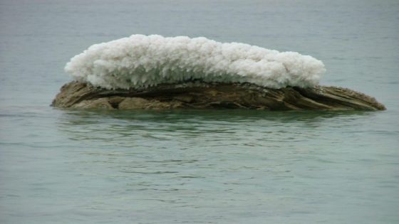 البحر الميت يجّف ويكشف أسراره