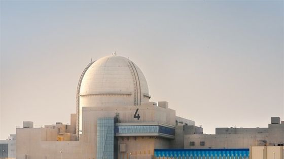 الأردن: الاستهداف الذي تعرضت له أبوظبي اليوم بمسيرة انتهاك سافر لسيادة الإمارات